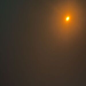 Paisleygold29 bundle